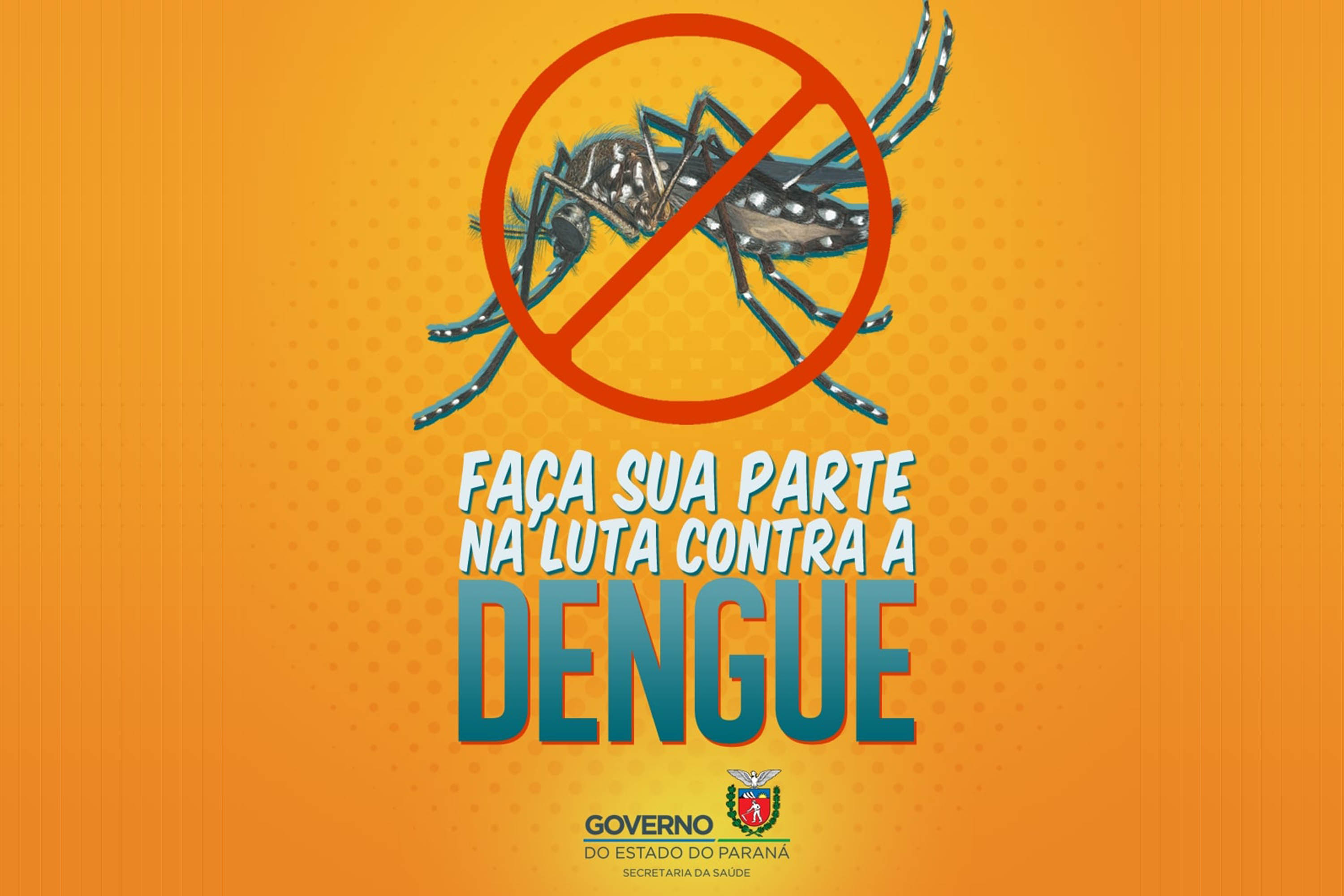 Cuidados com o mosquito da dengue no inverno | CORPO DE BOMBEIROS MILITAR  DO PARANÁ