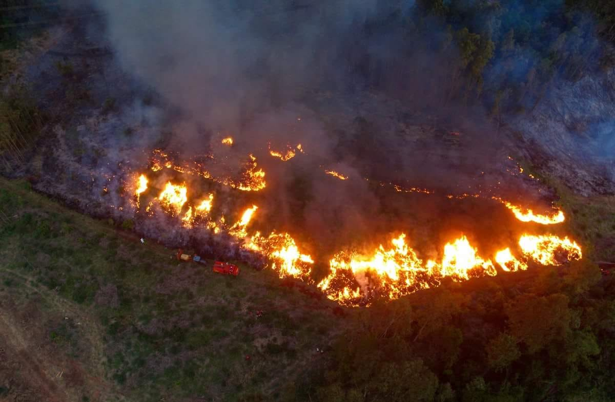 Incêndio Ambiental