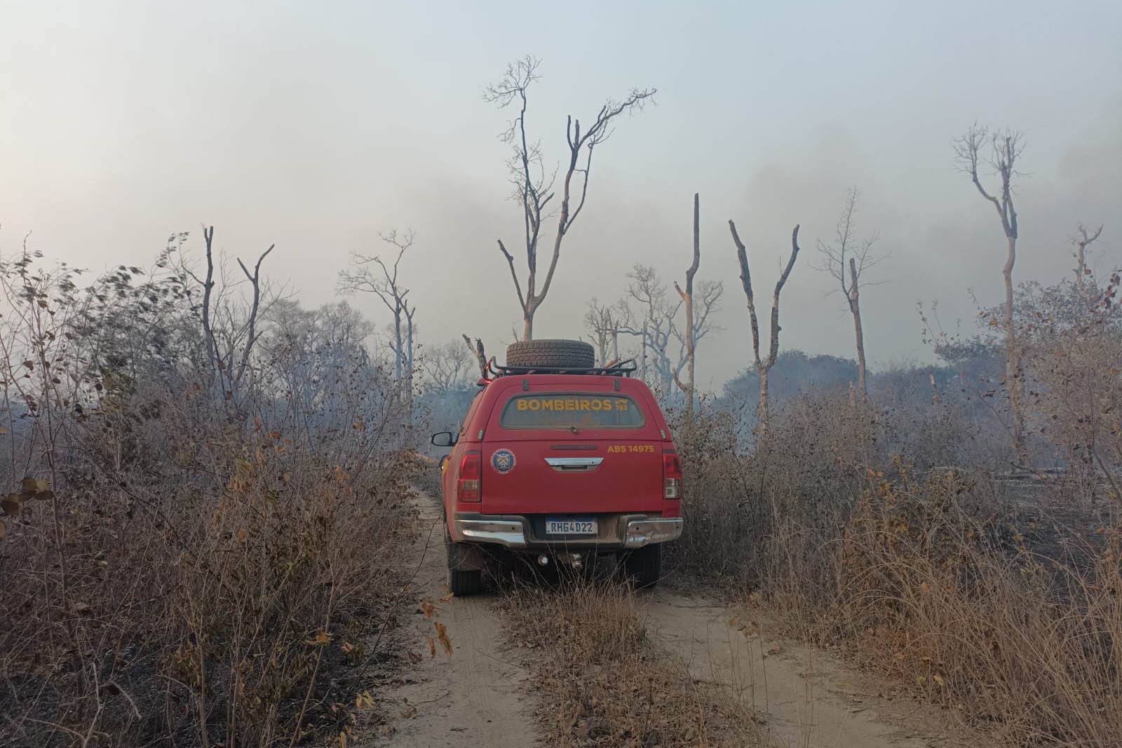 Bombeiros do Paraná trabalham no Pantanal - 2024.