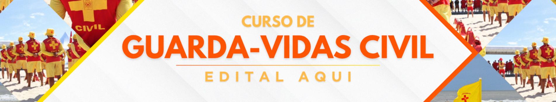 Curso de GVCV 2025