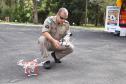 Defesa Civil passa a utilizar drones para monitoramento das áreas de risco.Curitiba, 16/05/2018.Foto: José Fernando Ogura/ANPr