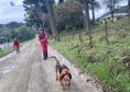 Paraná realiza 1ª Certificação Nacional de Cães de Busca e Resgate no estado, de 6 a 9 de maio de 2024.