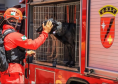 Cães de busca e resgate serão enviados pelo CBMPR para o RS.