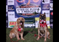 1ª Certificação Nacional de Cães de Busca e Resgate, em Cianorte. Maio de 2024.