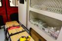 Novas ambulâncias do Siate garantem qualidade no atendimento à população do Paraná.