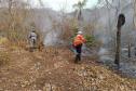 Bombeiros do Paraná trabalham no Pantanal - 2024.