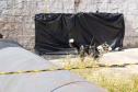 Treinamento reforça papel estratégico dos cães dos Bombeiros em resgates