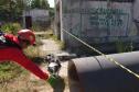 Treinamento reforça papel estratégico dos cães dos Bombeiros em resgates