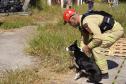 Treinamento reforça papel estratégico dos cães dos Bombeiros em resgates