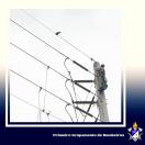 Soldado Cordeiro resgatando a arara.