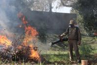 Combate à incêndios ambientais