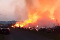 Prevenção contra incêndio Florestal