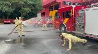 6º Grupamento de Bombeiros se despede dos Aspirantes-a-Oficial