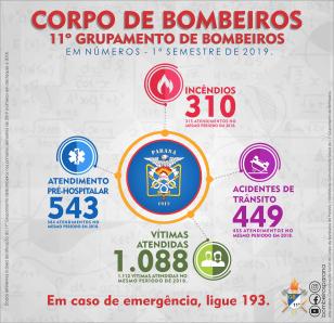 11º GB em números - 1º semestre