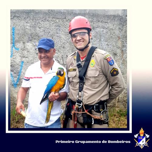 Soldado Corceiro com a arara Toy e o dono dela.