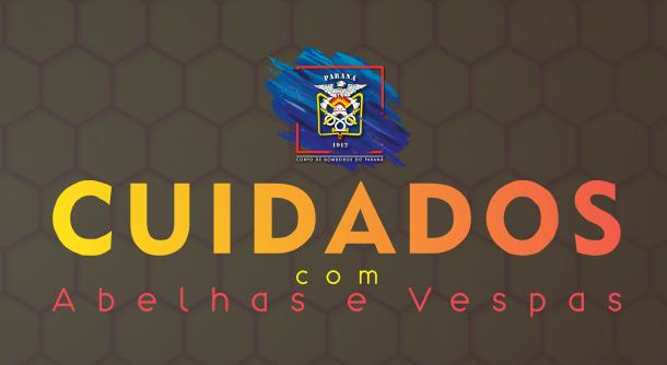 Cuidados com abelhas