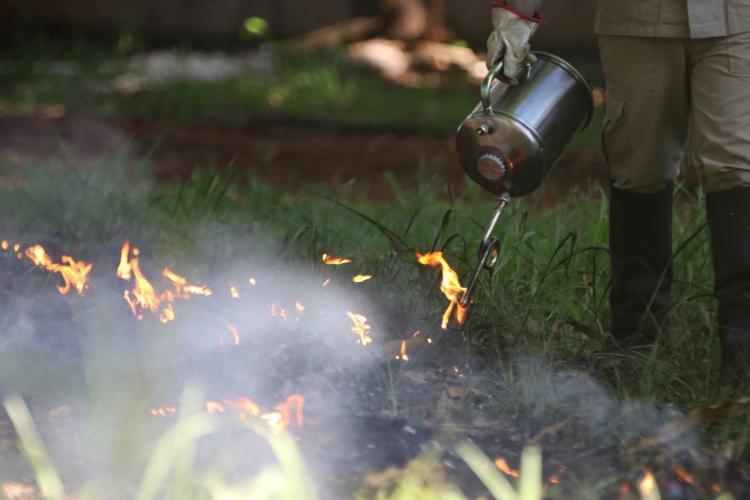 O uso da ferramenta "pinga fogo"