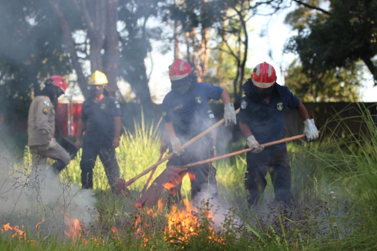 9ºGB realiza capacitação de agentes civis