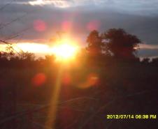 CFSD em Marcha Operacional