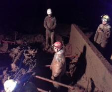 Curso de Intervenção em Áreas Deslizadas