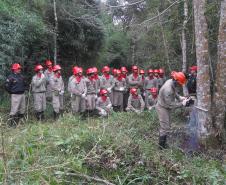 Instrução de Combate à Incêndio Florestal é realizada no CFSD

