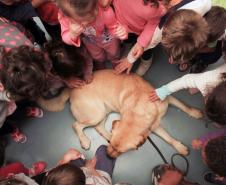 Polícia no CMEI (Centro Municipal de Educação Infantil) Xapinhal, em Curitiba.