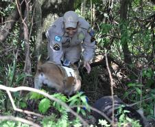 Instrução com Cães de Busca e Resgate - 11º GB