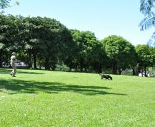 Instrução com Cães de Busca e Resgate - 11º GB