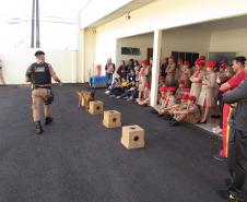 Aniversário PMPR - Apucarana.