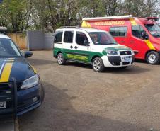 Ficalização PP_11ª CORPDEC