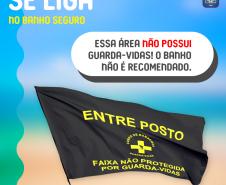 bandeira_preta