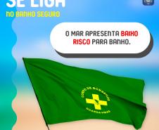 bandeira_verde