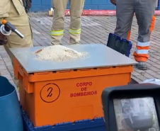 1º Curso de Capacitação de Prevenção e Respostas a Emergências em Silos 