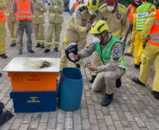 1º Curso de Capacitação de Prevenção e Respostas a Emergências em Silos 