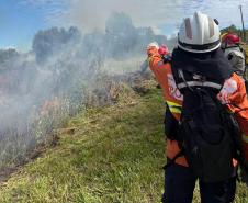 Abertura da operação Quati João