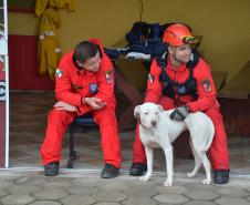 Cão de busca do GOST recebe certificação nacional