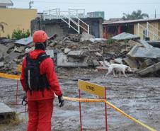 Cão de busca do GOST recebe certificação nacional