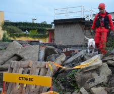Cão de busca do GOST recebe certificação nacional