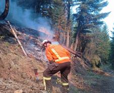 Missão internacional em ação no Canadá