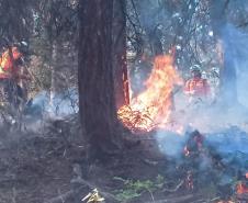 Missão internacional em ação no Canadá