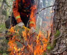 Missão internacional em ação no Canadá