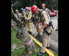 Treinamento de salvamento vertical do CBMPR - outubro de 2023.