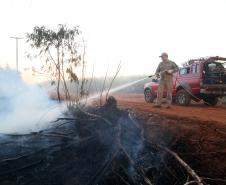 Bombeiros apagam incêndio em vegetação, situação que teve muitas ocorrências em 2023.