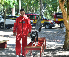 Certificação do Soldado Pereto como avaliador de cães de busca e resgate