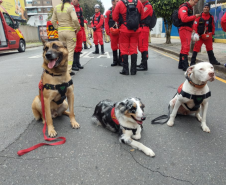 Paraná realiza 1ª Certificação Nacional de Cães de Busca e Resgate no estado, de 6 a 9 de maio de 2024.