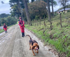 Paraná realiza 1ª Certificação Nacional de Cães de Busca e Resgate no estado, de 6 a 9 de maio de 2024.