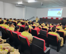 Madeira engenheirada: reunião no CBMPR.