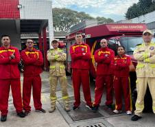 Cães de busca e resgate serão enviados pelo CBMPR para o RS.