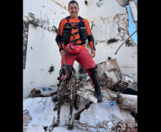 Cães de busca e resgate serão enviados pelo CBMPR para o RS.