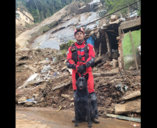 Cães de busca e resgate serão enviados pelo CBMPR para o RS.